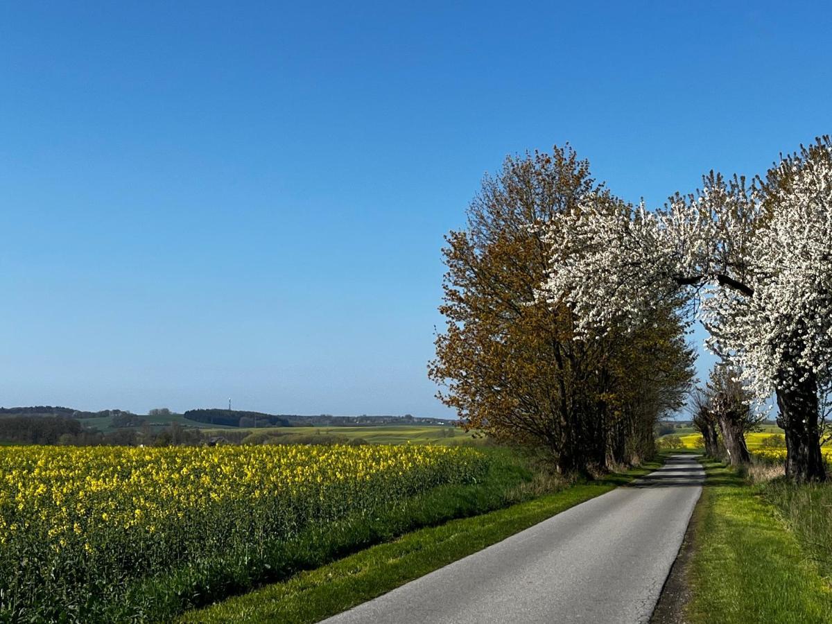 Gut Manderow An Der Ostsee Hohenkirchen  Ngoại thất bức ảnh