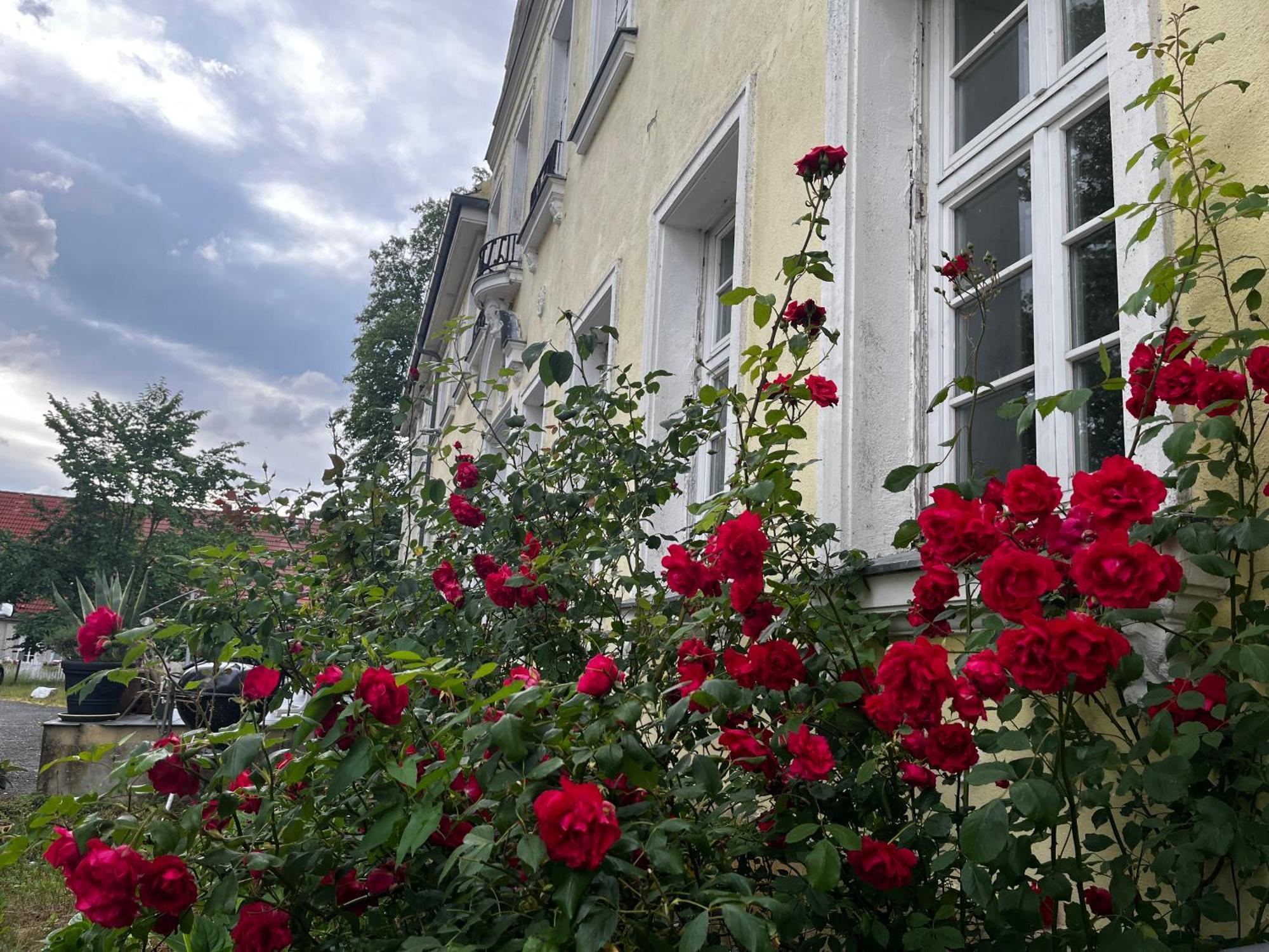 Gut Manderow An Der Ostsee Hohenkirchen  Ngoại thất bức ảnh